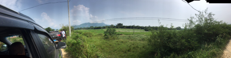 旱地