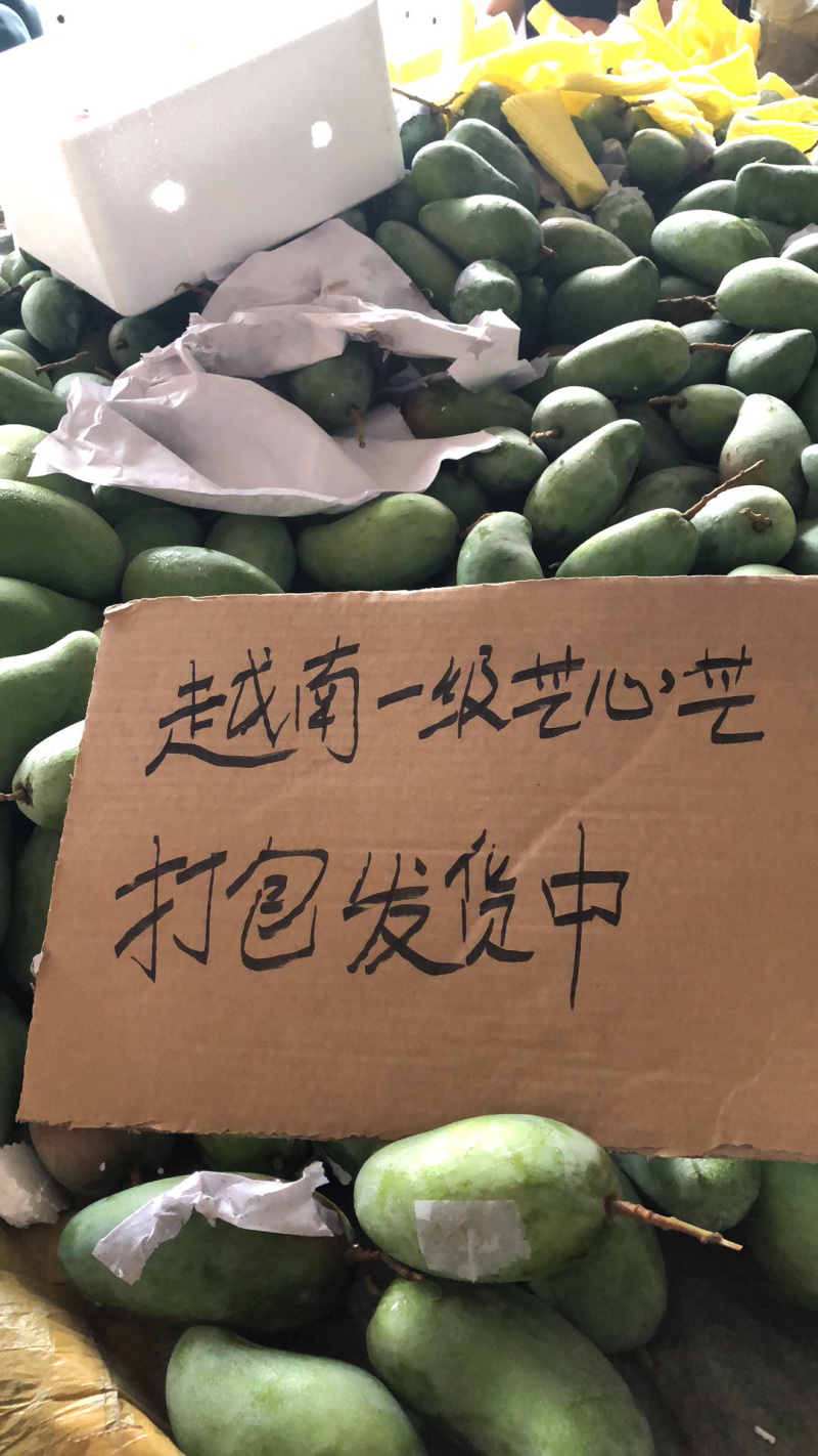 越南甜心芒，电商平台全国一件代发，诚招代理