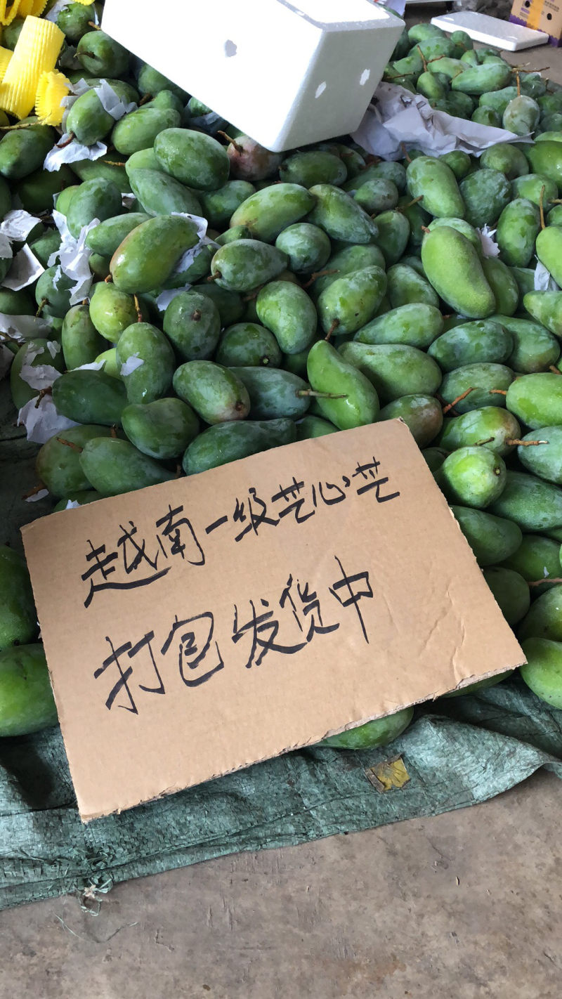 越南甜心芒，电商平台全国一件代发，诚招代理