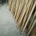 斑竹5~6m