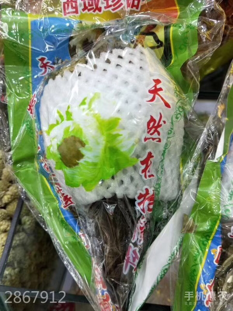 天山雪莲