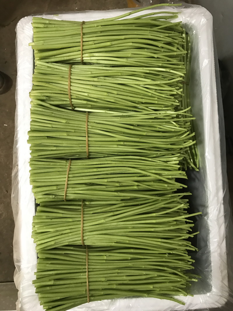 云南鼎伏农业科技有限公司、专业种植加工及销售。