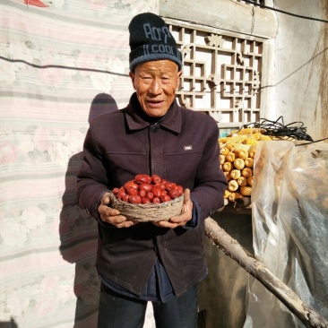 滩枣鲜枣通货