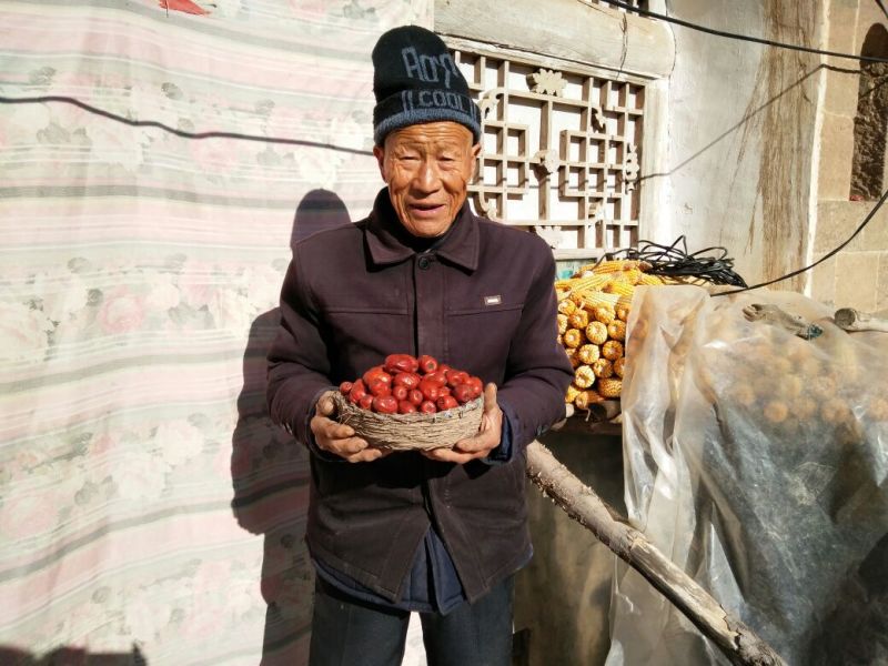 滩枣鲜枣通货