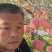 陕西纸袋红富士苹果价格水晶红富士苹果大量批发红富士苹果产