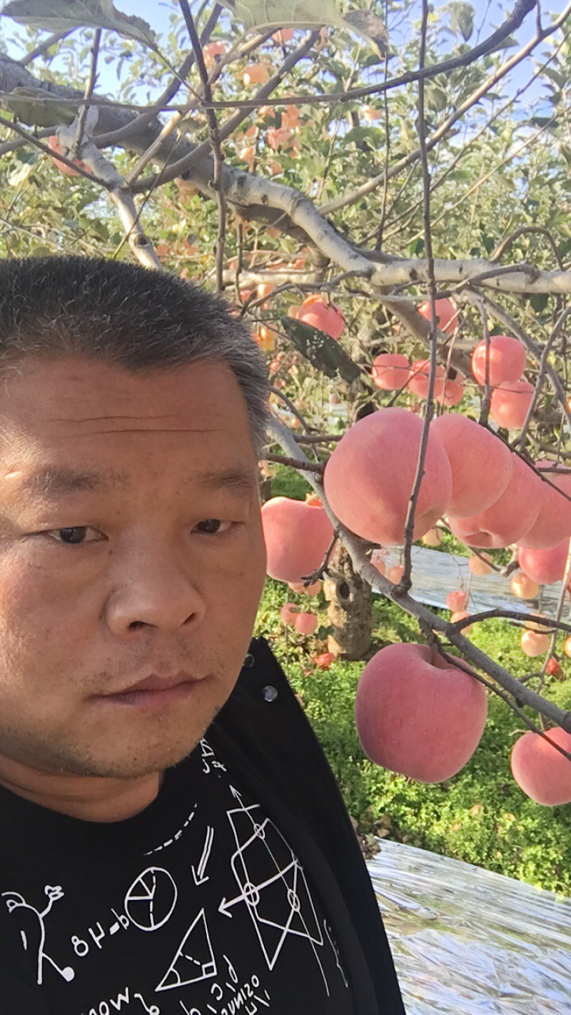 陕西纸袋红富士苹果价格水晶红富士苹果大量批发红富士苹果产