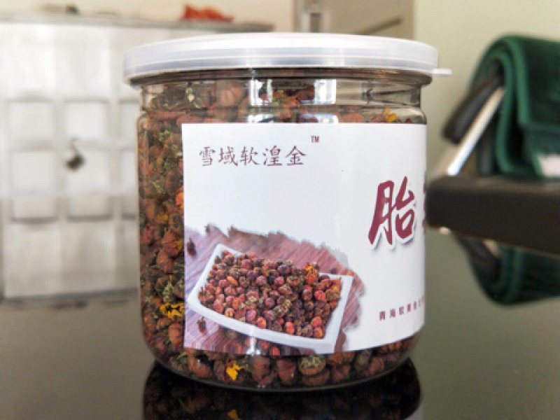 昆仑胎菊