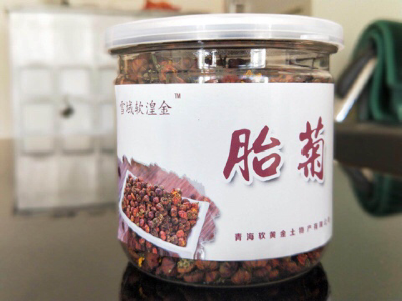 昆仑胎菊