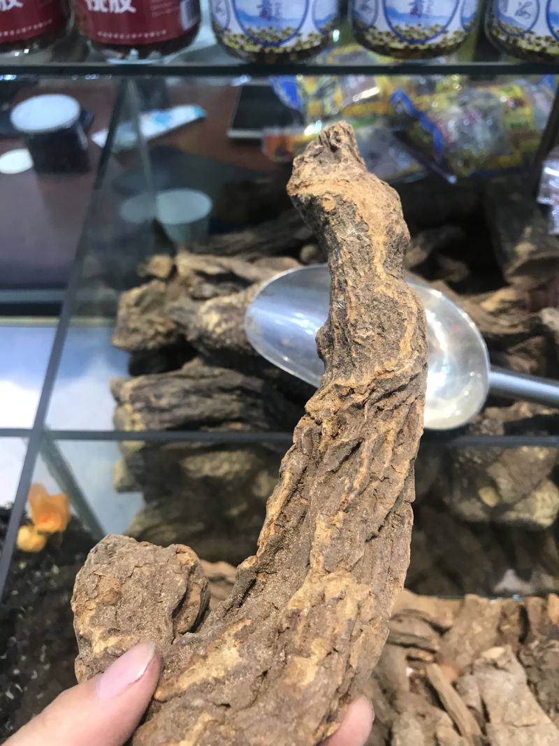 锁阳