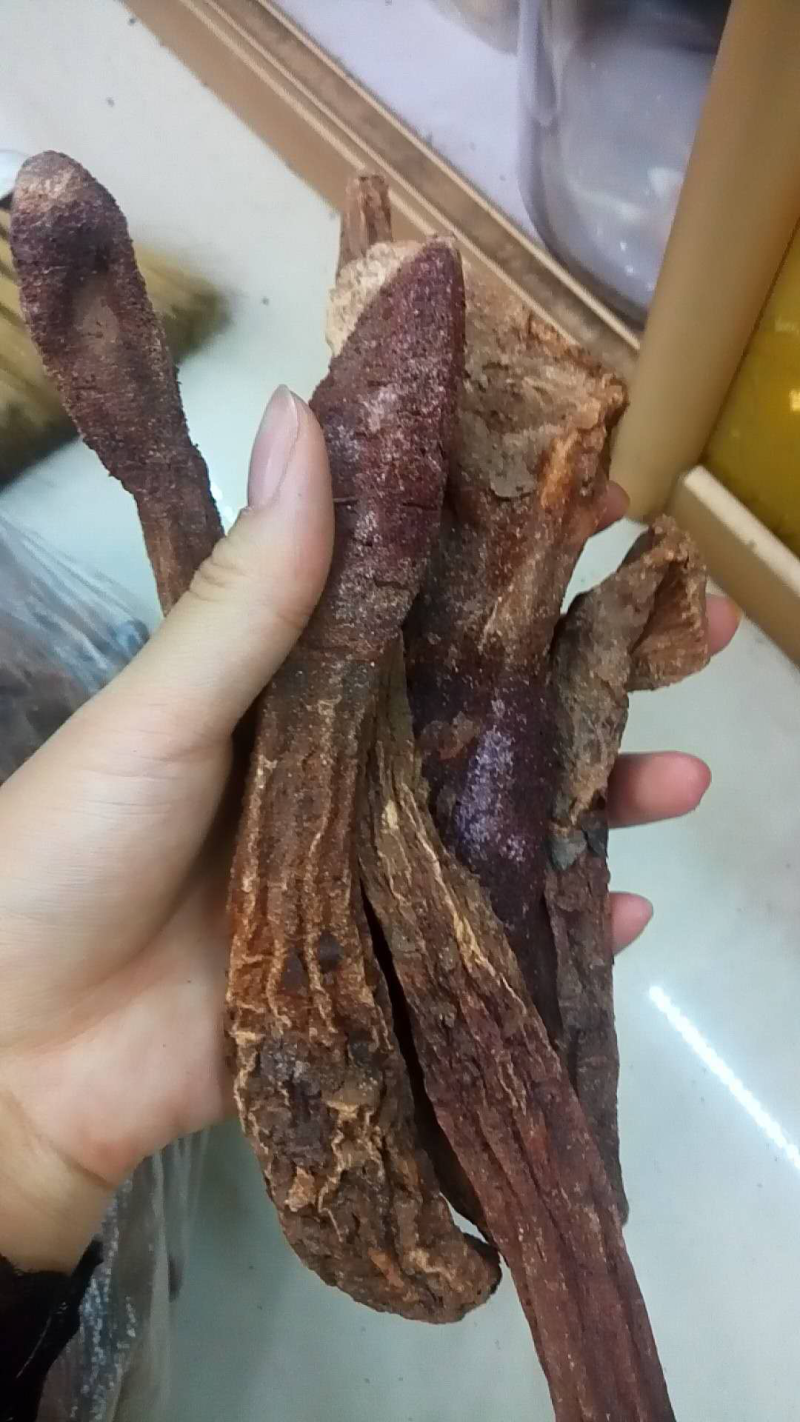 锁阳