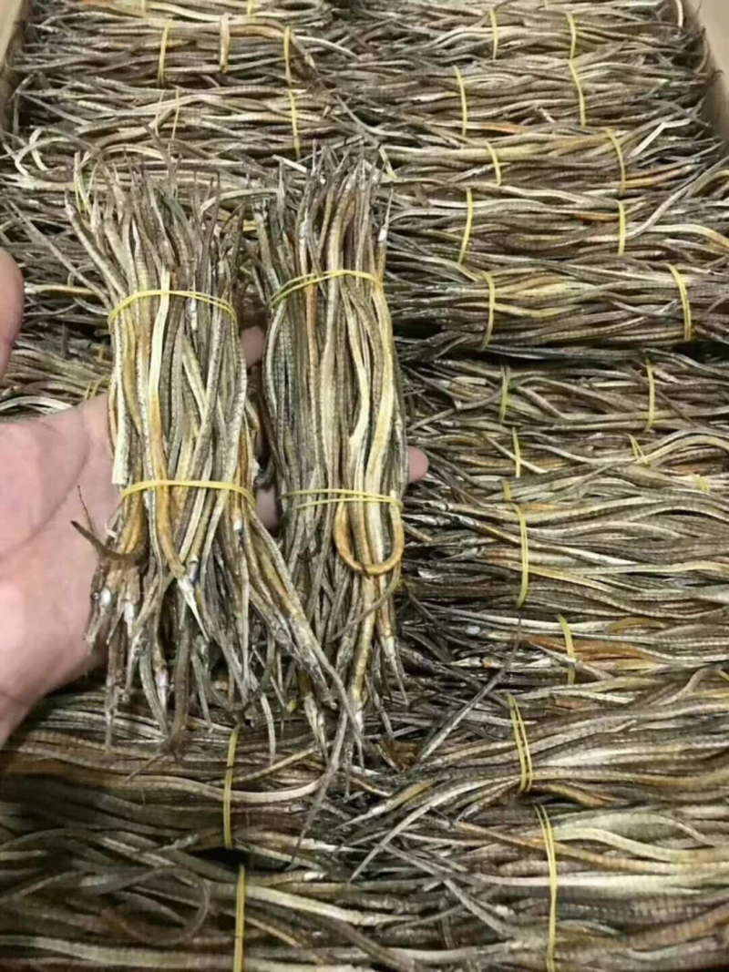 哈龙