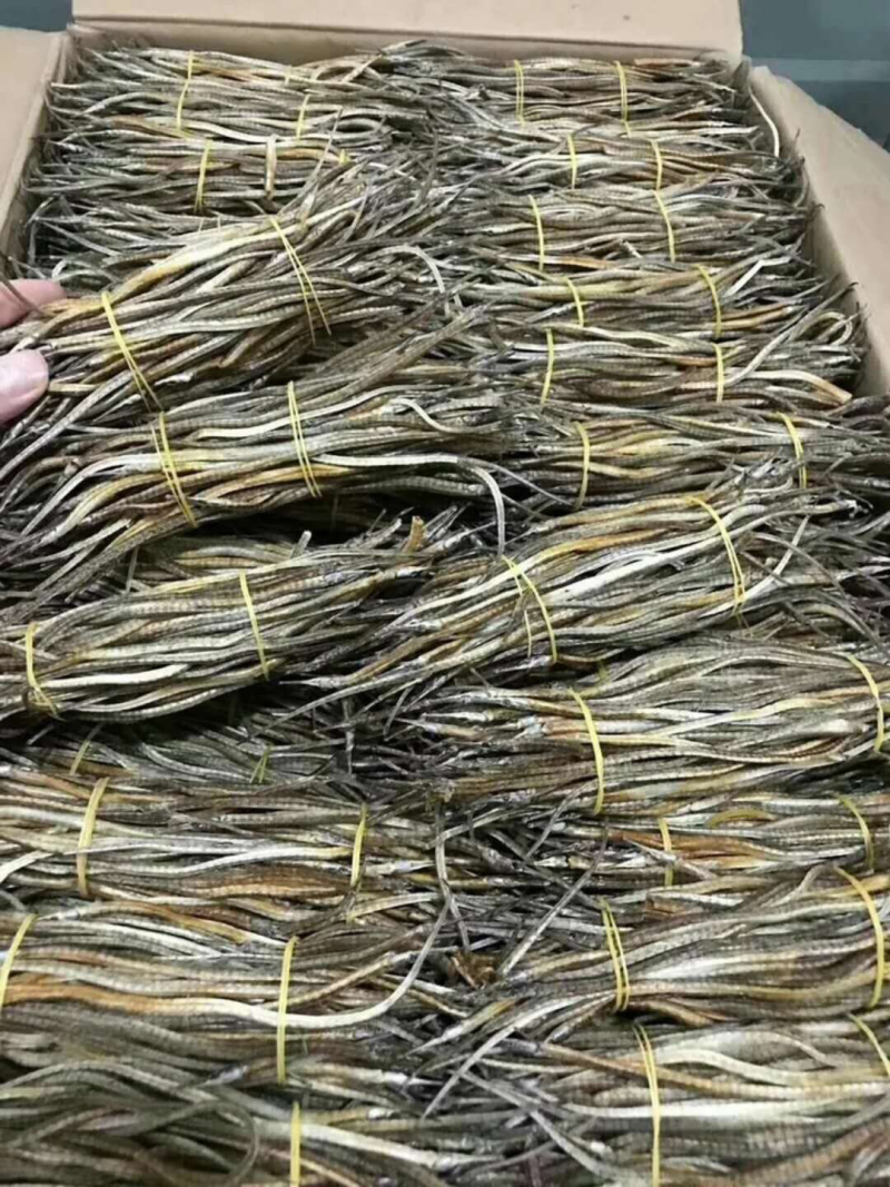 哈龙