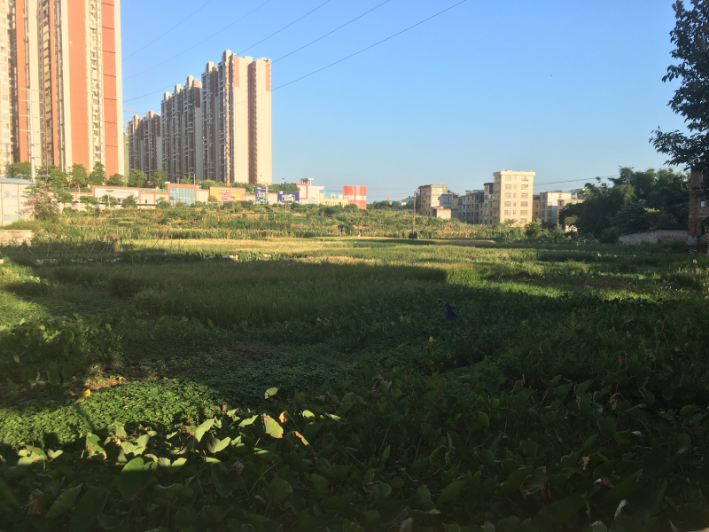 本村在广东省怀集县城拔用宅基地地