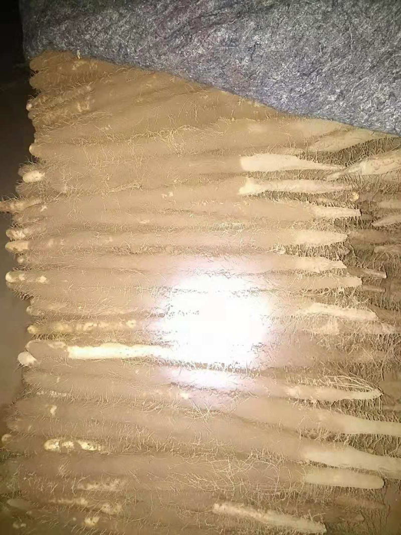 棒山药3~4厘米一级手捡50~70厘米