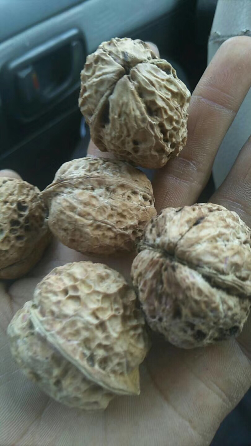 云南核桃产地直发