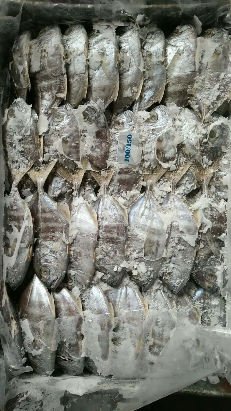 花鲳，水晶鲳