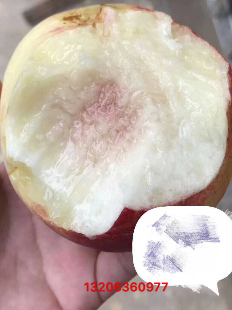 国家扶持村金秋红蜜