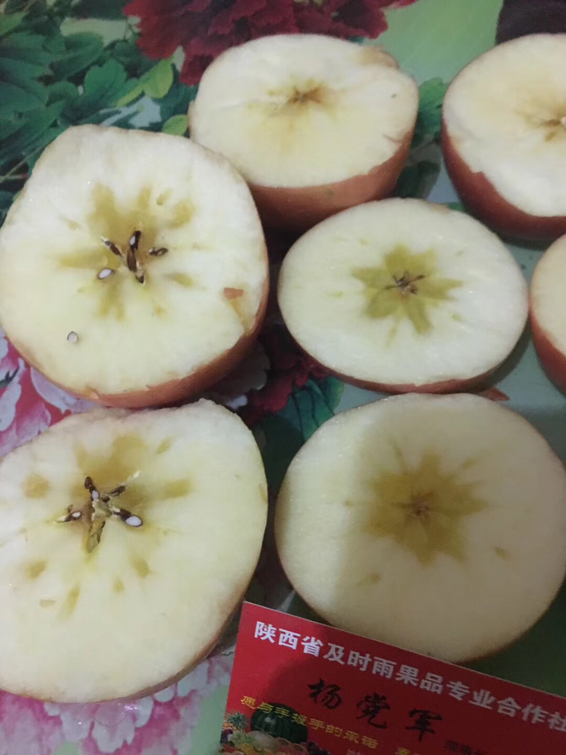 膜袋红富士苹果开始订购了，物美价廉，口感脆甜
