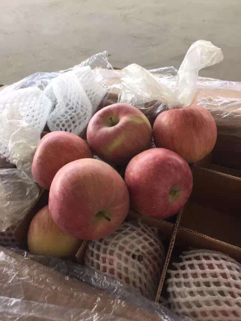 膜袋红富士苹果开始订购了，物美价廉，口感脆甜