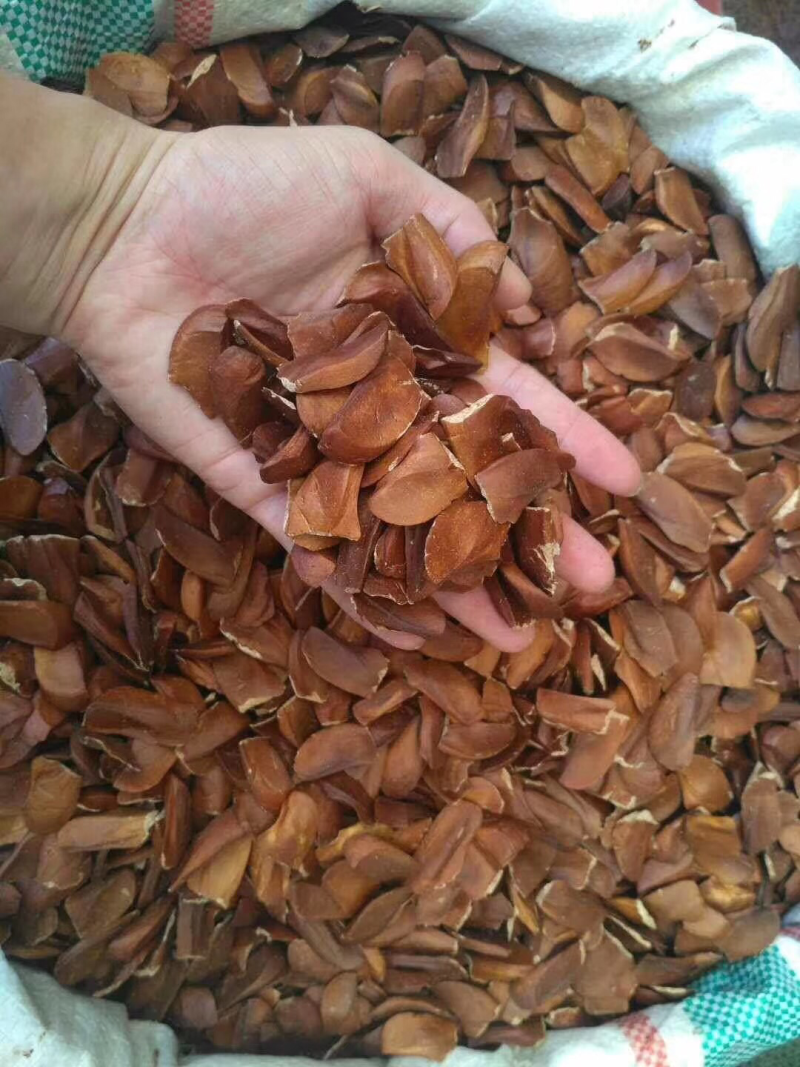 向天果印度所罗门