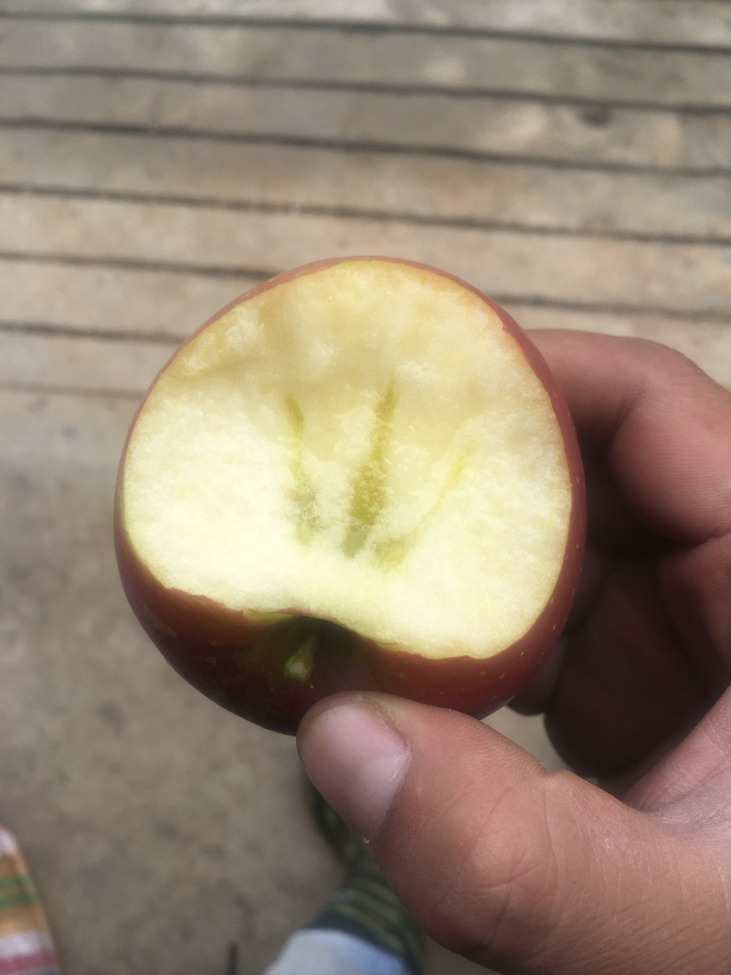 糖心苹果