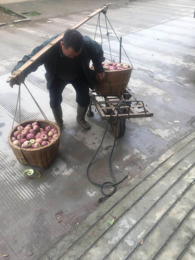 糖心苹果