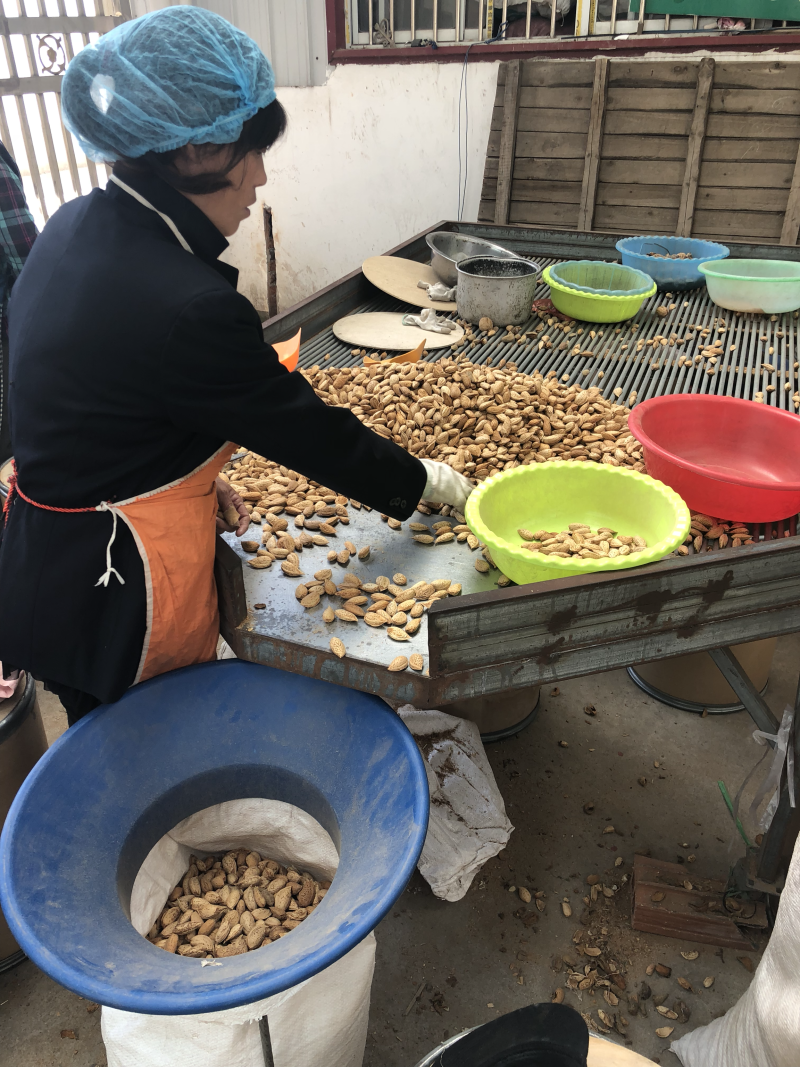巴旦木年货莎车奶油味