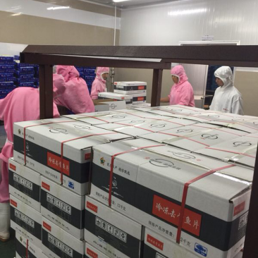 巴沙鱼片