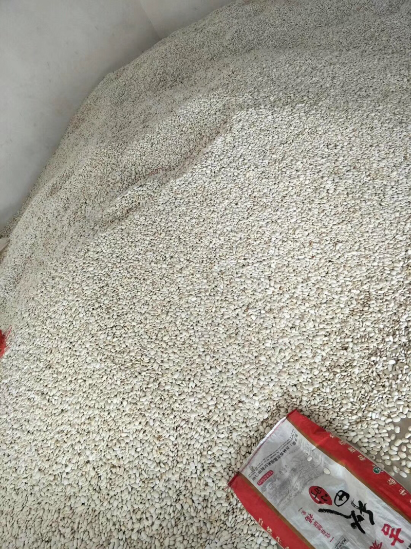 白云豆