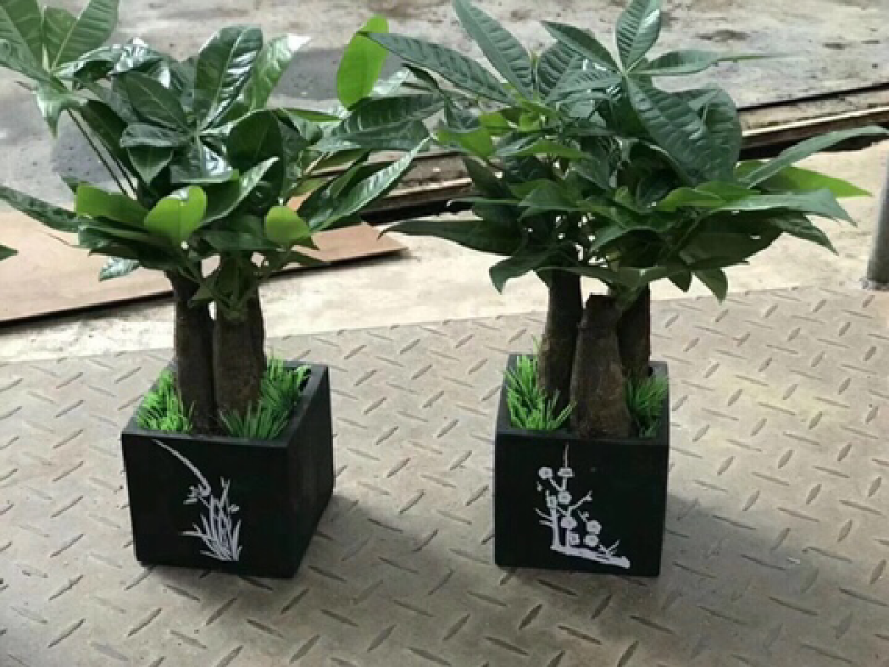 梅兰竹菊