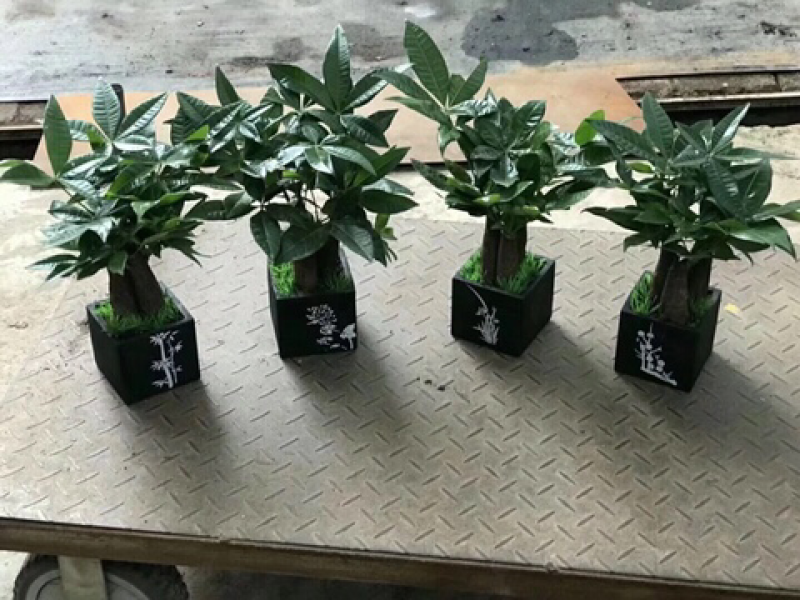 梅兰竹菊