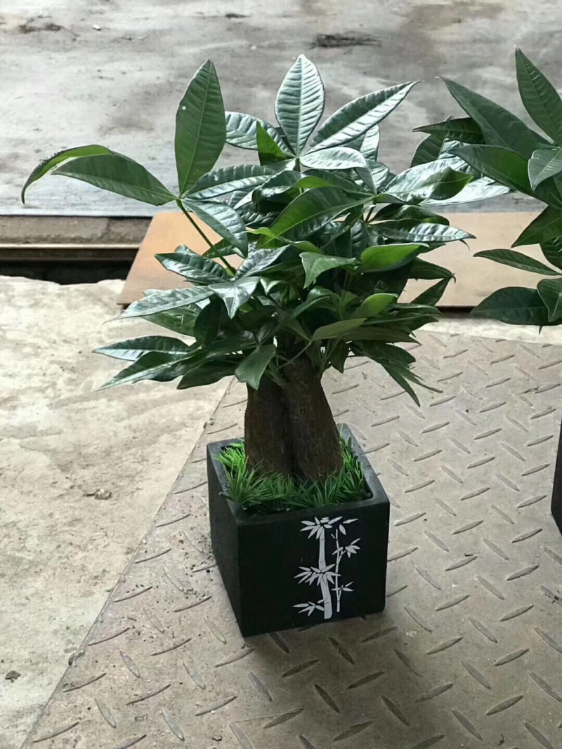 梅兰竹菊