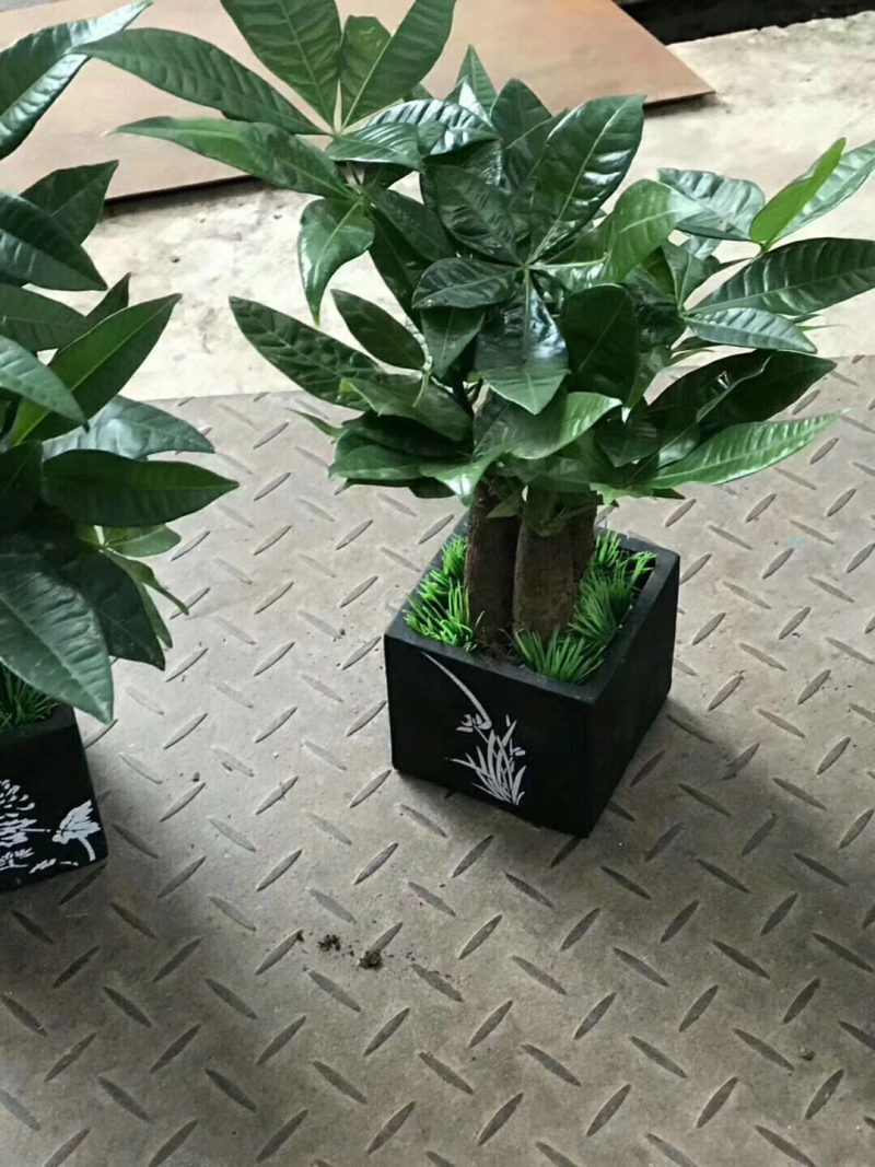 梅兰竹菊