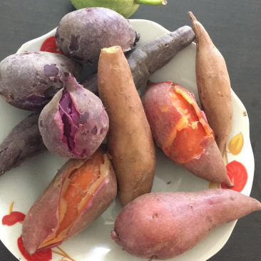 三色薯紫心+红心+黄心紫薯地瓜红薯蜜薯香薯一件代发