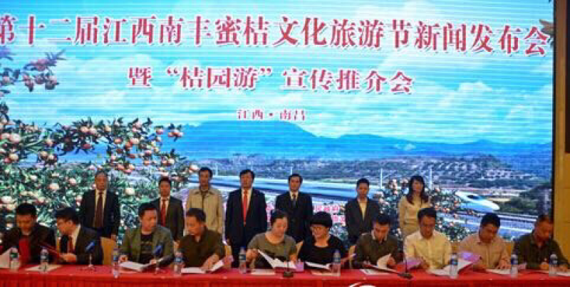 南丰蜜桔一手货源带叶鲜果产地直发火热上市