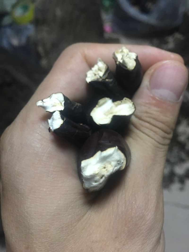 包邮西藏白心灵芝纯野生新货全干品质好货产地货源