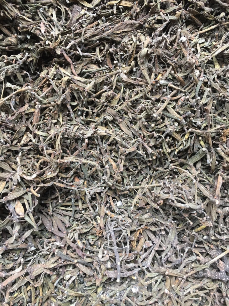 寄生草.螃蟹脚.茶寄生.古树茶寄生，香味浓郁