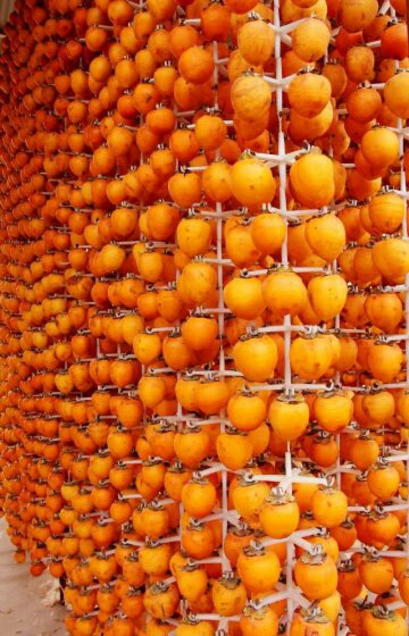 独立包装柿饼优质柿饼吊柿饼批发零售量大从优