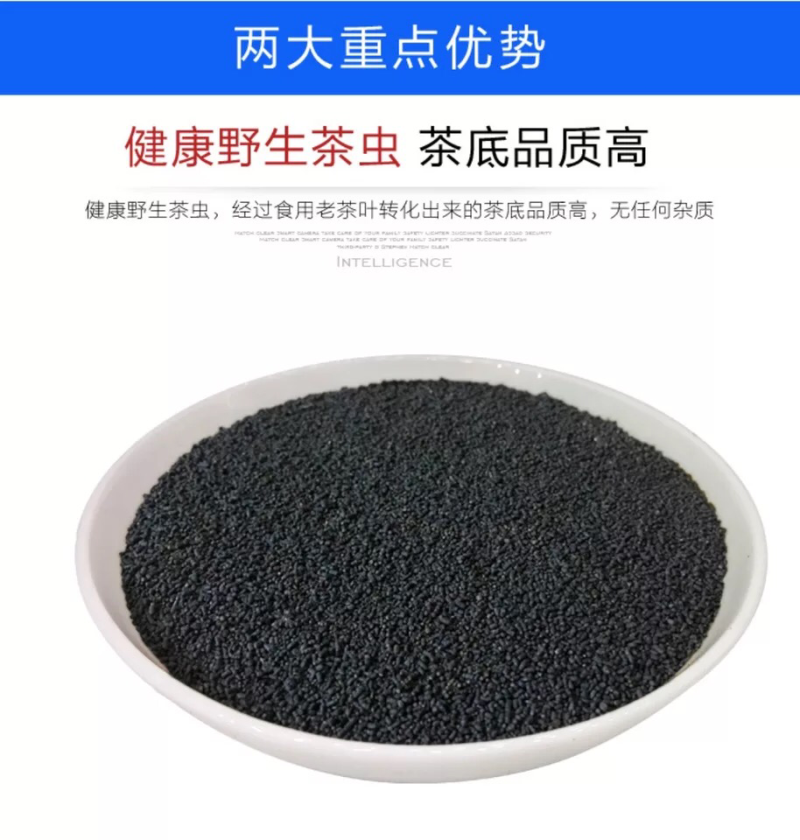 虫茶