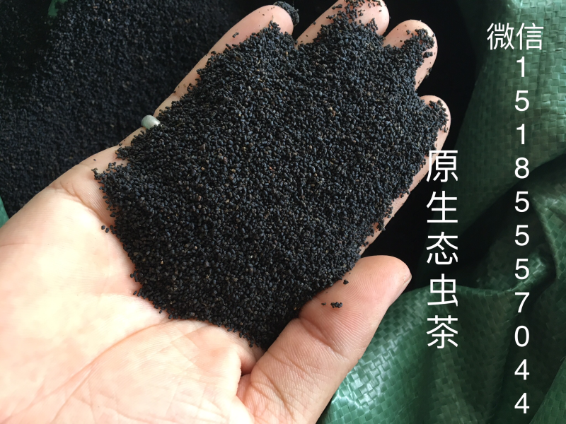虫茶