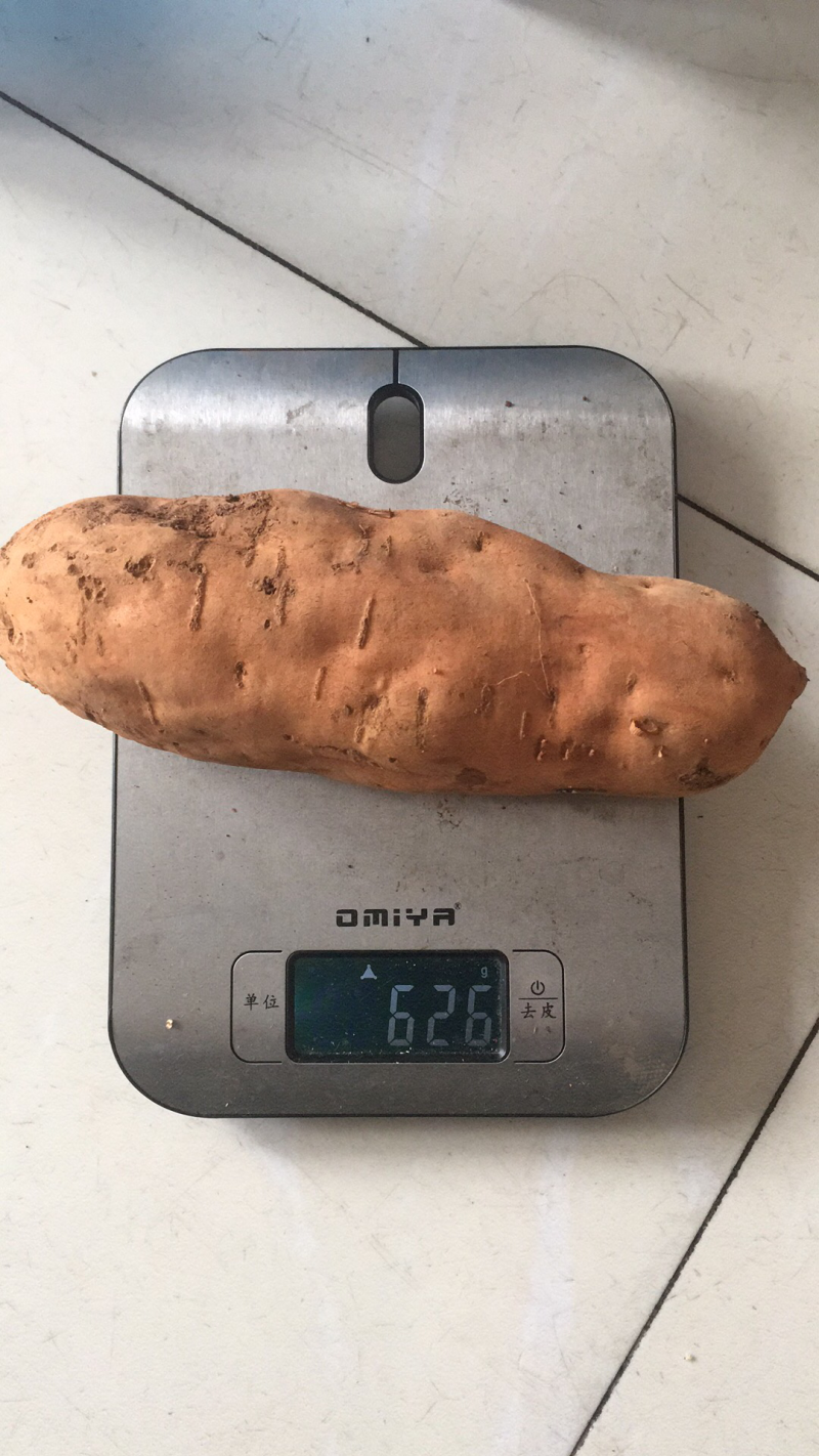 黄心蜜薯