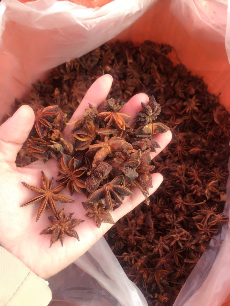广西烫八角，广西大红八角，广西上思县思瑶土特产有限责任公