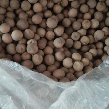 桂圆