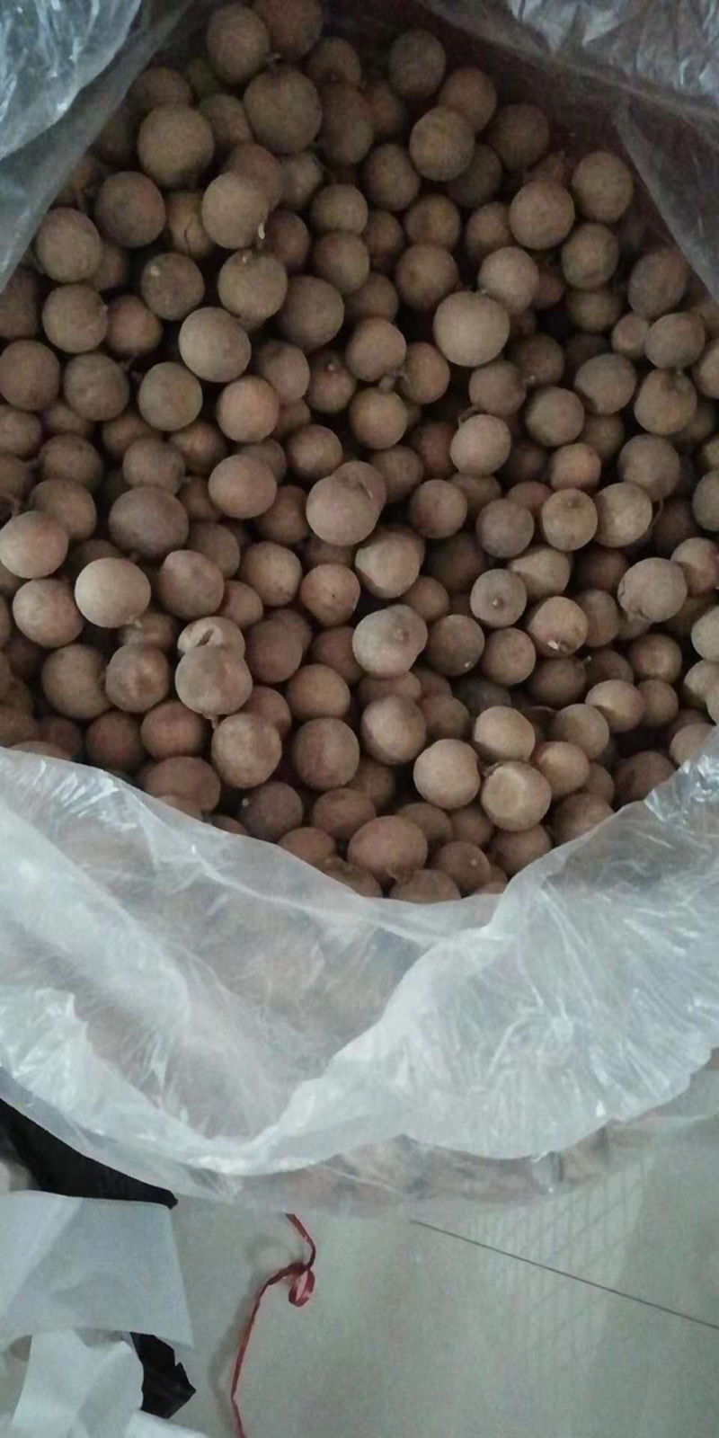 桂圆