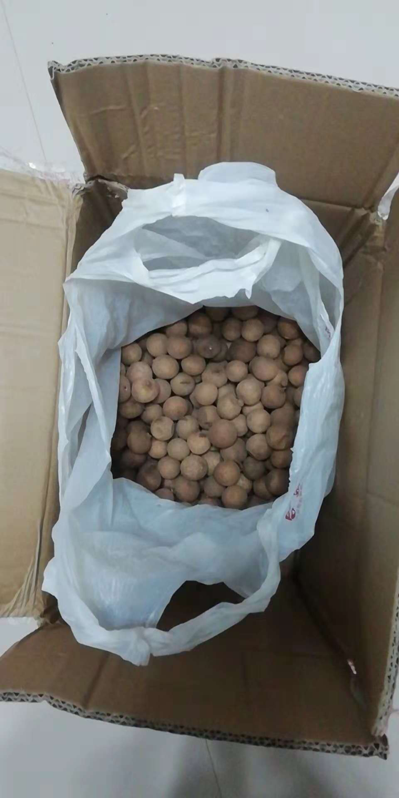 桂圆