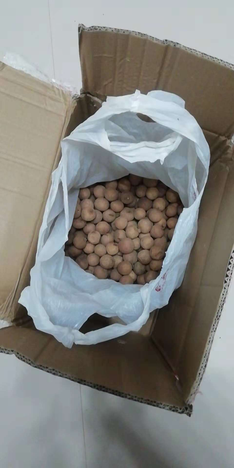 桂圆