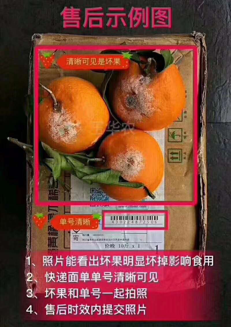 桂圆