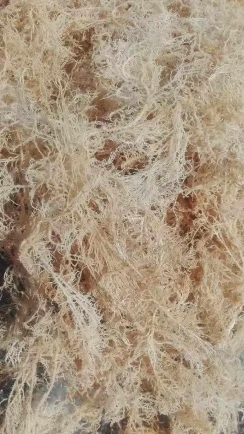 花椒，麻椒，韩城大红袍，海石花，各种规格龙口粉丝