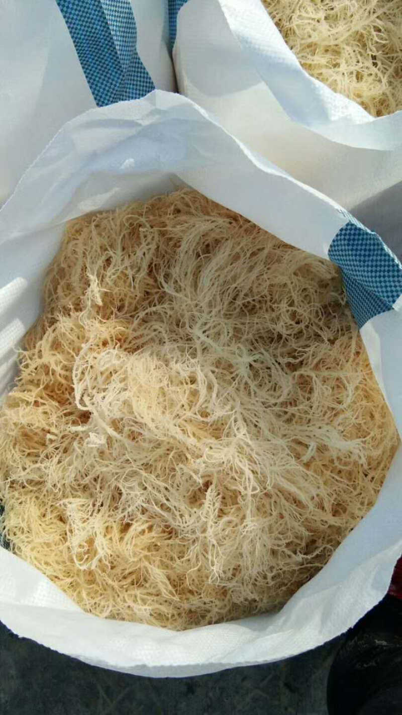 花椒，麻椒，韩城大红袍，海石花，各种规格龙口粉丝