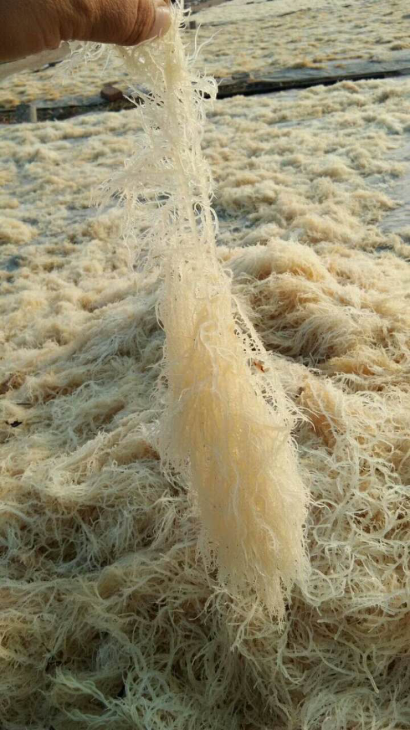 花椒，麻椒，韩城大红袍，海石花，各种规格龙口粉丝